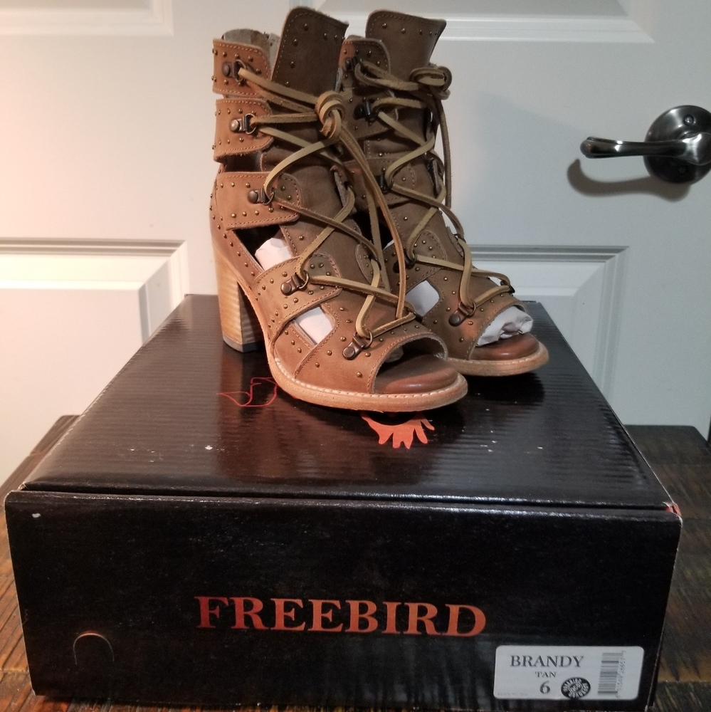 NIB Freebird by Steven Brandy